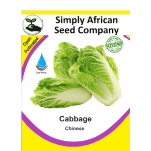 Cabbage Chinese 30's
