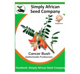 Cancer Bush (Sutherlandia Frutescens) 12’s