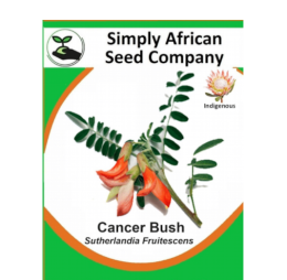 Cancer Bush (Sutherlandia Frutescens) 12’s