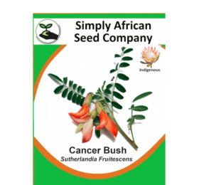Cancer Bush (Sutherlandia Frutescens) 12’s