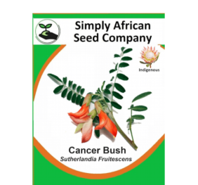 Cancer Bush (Sutherlandia Frutescens) 12’s