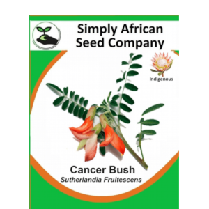 Cancer Bush (Sutherlandia Frutescens) 12's