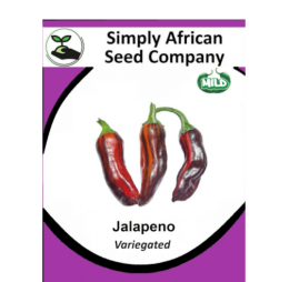 Jalapeno (Variegated) 12’s