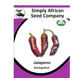 Jalapeno (Variegated) 12’s