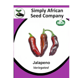 Jalapeno (Variegated) 12’s