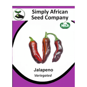 Jalapeno (Variegated) 12's