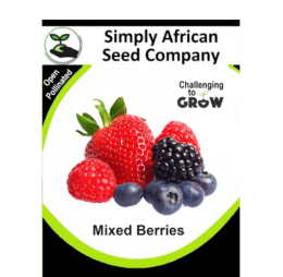 Mixed Berries 30’s