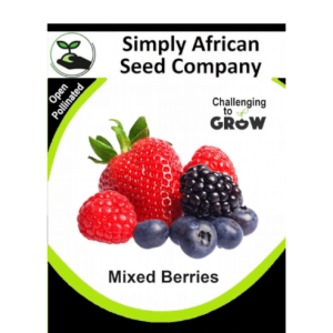 Mixed Berries 30's