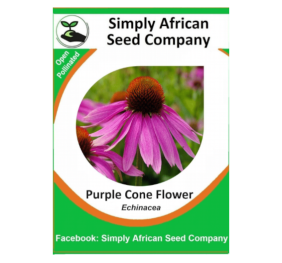 Purple Cone Flower (Echinacea) 20’s