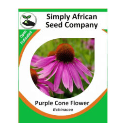 Purple Cone Flower (Echinacea) 20’s