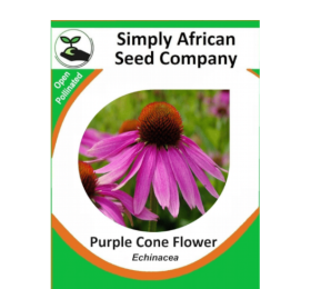 Purple Cone Flower (Echinacea) 20’s