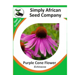 Purple Cone Flower (Echinacea) 20’s