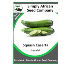 Squash Caserta (Zucchini) 12’s