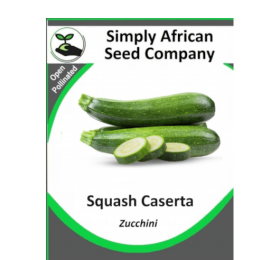 Squash Caserta (Zucchini) 12’s