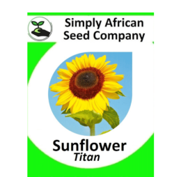 Sunflower Titan 30’s
