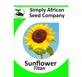 Sunflower Titan 30’s