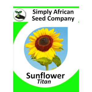 Sunflower Titan 30's